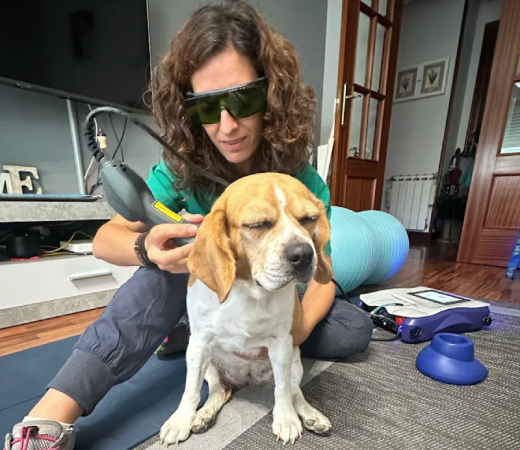 MARIA ALONSO Llevo la recuperación de tu mascota hasta la puerta de tu casa